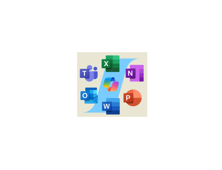Microsoft 365 (16)